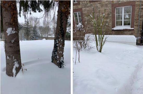 Winter 2021